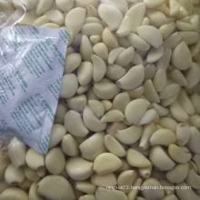High quality vacuum packaging pure taste distributor peeled garlic